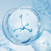 Hydrolyzed Collagen